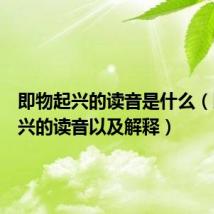 即物起兴的读音是什么(即物起兴的读音以及解释)