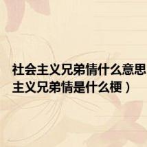 社会主义兄弟情什么意思（社会主义兄弟情是什么梗）