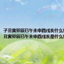 子丑寅卯辰巳午未申酉戌亥什么意思(子丑寅卯辰巳午未申酉戌亥是什么意思)