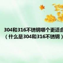 304和316不锈钢哪个更适合食品级(什么是304和316不锈钢)