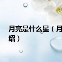 月亮是什么星（月亮介绍）
