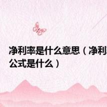 净利率是什么意思（净利率计算公式是什么）