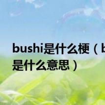 bushi是什么梗(bushi是什么意思)