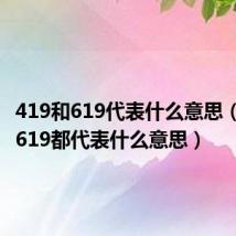 419和619代表什么意思(419和619都代表什么意思)