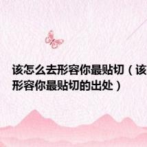 该怎么去形容你最贴切（该怎么去形容你最贴切的出处）