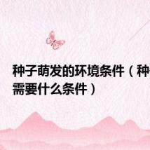 种子萌发的环境条件(种子萌发需要什么条件)