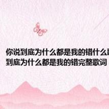 你说到底为什么都是我的错什么歌（你说到底为什么都是我的错完整歌词）