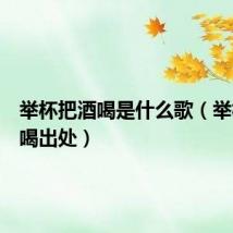 举杯把酒喝是什么歌(举杯把酒喝出处)