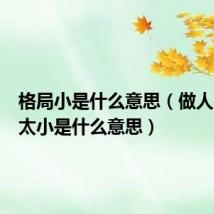 格局小是什么意思(做人的格局太小是什么意思)