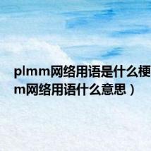 plmm网络用语是什么梗(plmm网络用语什么意思)