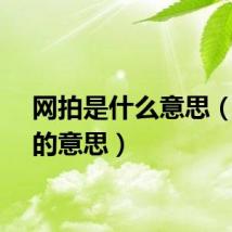 网拍是什么意思（网拍的意思）