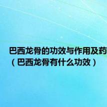 巴西龙骨的功效与作用及药用价值(巴西龙骨有什么功效)