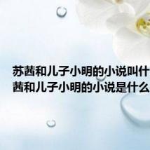 苏茜和儿子小明的小说叫什么（苏茜和儿子小明的小说是什么）