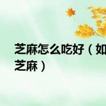 芝麻怎么吃好（如何吃芝麻）