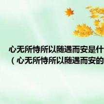 心无所恃所以随遇而安是什么意思(心无所恃所以随遇而安的含义)