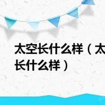 太空长什么样（太空是长什么样）