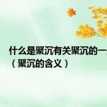 什么是聚沉有关聚沉的一些内容（聚沉的含义）