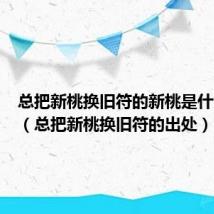 总把新桃换旧符的新桃是什么意思（总把新桃换旧符的出处）