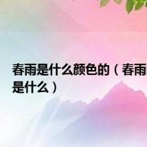春雨是什么颜色的（春雨的颜色是什么）