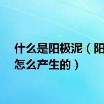 什么是阳极泥（阳极泥怎么产生的）