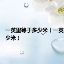一英里等于多少米（一英里是多少米）