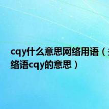 cqy什么意思网络用语（关于网络语cqy的意思）