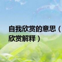 自我欣赏的意思（自我欣赏解释）