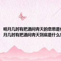 明月几时有把酒问青天的意思是什么（明月几时有把酒问青天到底是什么意思）