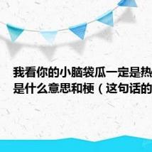 我看你的小脑袋瓜一定是热昏头了是什么意思和梗(这句话的解释)