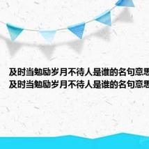 及时当勉励岁月不待人是谁的名句意思是什么（及时当勉励岁月不待人是谁的名句意思是啥）