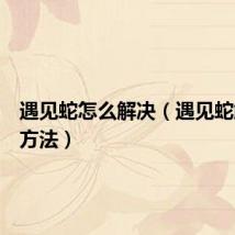 遇见蛇怎么解决（遇见蛇解决的方法）