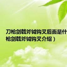 刀枪剑戟斧钺钩叉后面是什么（刀枪剑戟斧钺钩叉介绍）