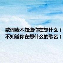 歌词我不知道你在想什么（歌词我不知道你在想什么的歌名）