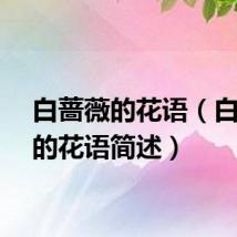 白蔷薇的花语（白蔷薇的花语简述）