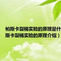帕斯卡裂桶实验的原理是什么(帕斯卡裂桶实验的原理介绍)