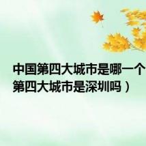 中国第四大城市是哪一个（中国第四大城市是深圳吗）