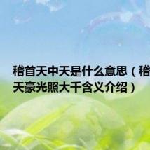 稽首天中天是什么意思（稽首天中天豪光照大千含义介绍）