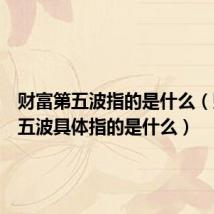 财富第五波指的是什么(财富第五波具体指的是什么)
