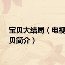 宝贝大结局(电视剧宝贝简介)