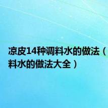 凉皮14种调料水的做法（凉皮调料水的做法大全）