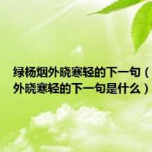绿杨烟外晓寒轻的下一句（绿杨烟外晓寒轻的下一句是什么）