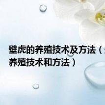 壁虎的养殖技术及方法(壁虎的养殖技术和方法)