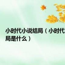 小时代小说结局（小时代小说结局是什么）