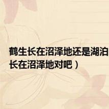鹤生长在沼泽地还是湖泊(鹤生长在沼泽地对吧)