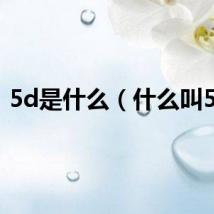 5d是什么（什么叫5D）
