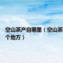 空山茶产自哪里（空山茶产是哪个地方）