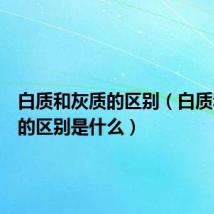 白质和灰质的区别（白质和灰质的区别是什么）