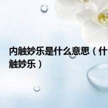 内触妙乐是什么意思（什么叫内触妙乐）