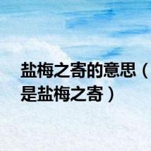 盐梅之寄的意思（什么是盐梅之寄）
