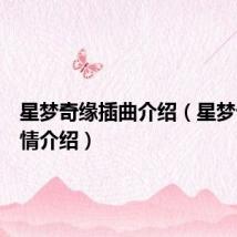 星梦奇缘插曲介绍(星梦奇缘剧情介绍)